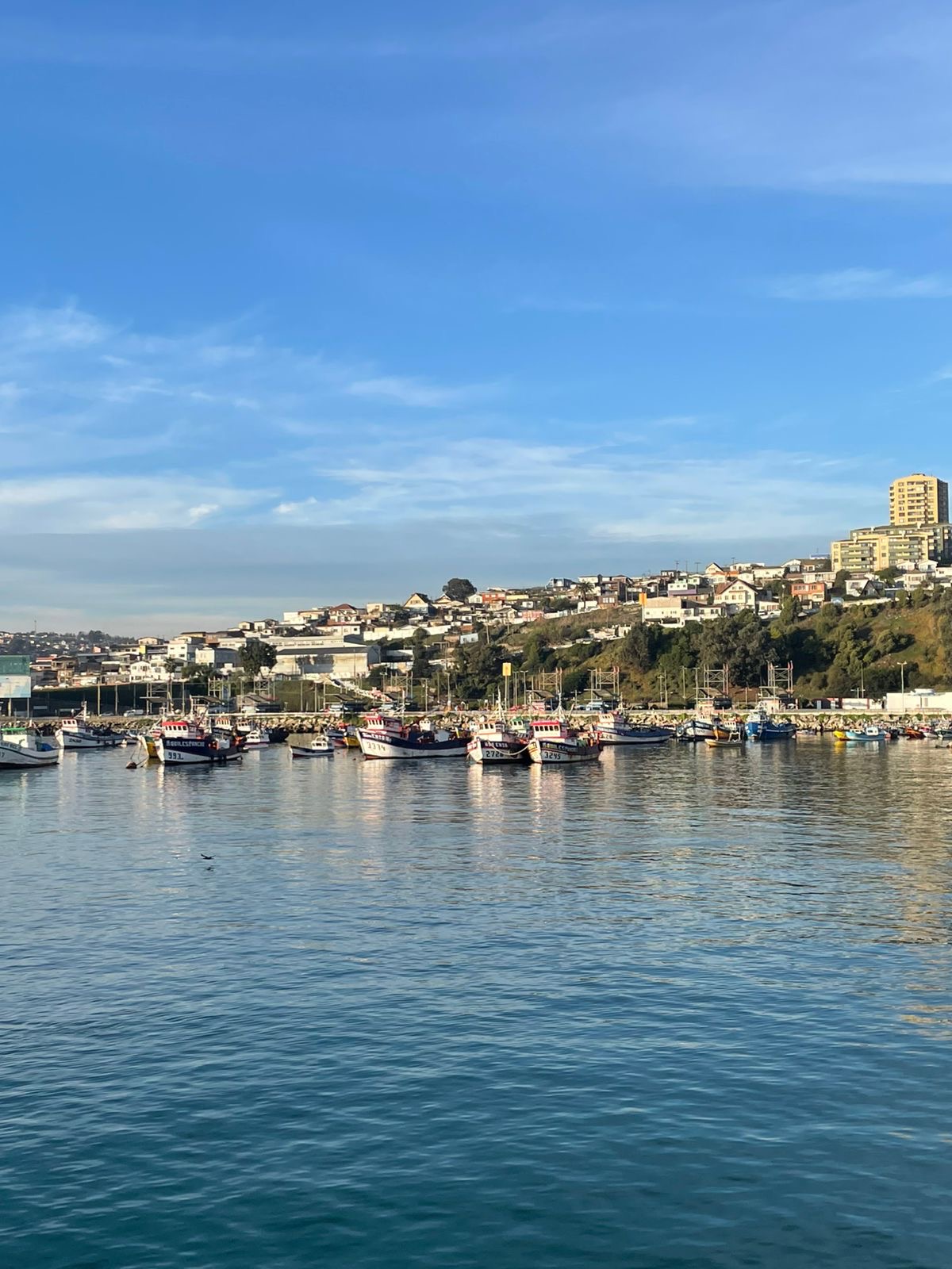 3c3b7346-b3ae-4204-b956-61c68c590f2b